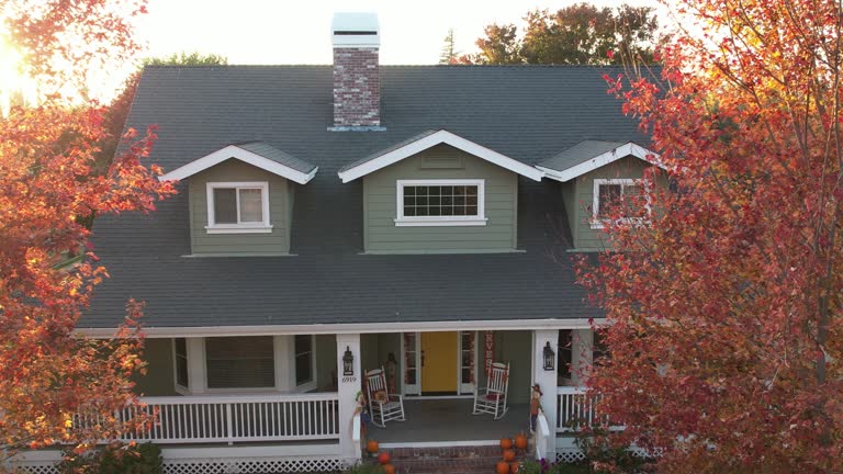 Best Sheet Metal Roofing  in Ely, MN