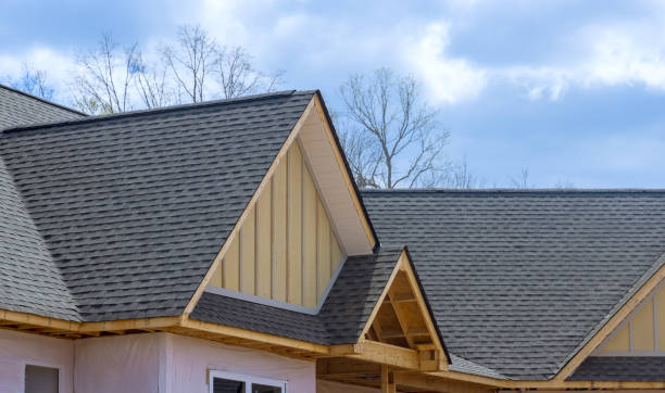 Best Roof Insulation Installation  in Ely, MN