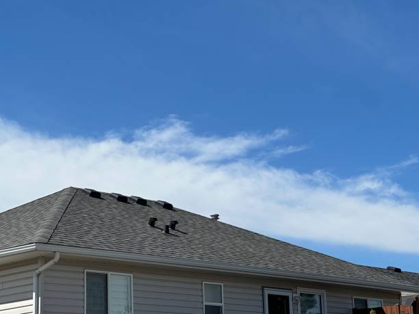 Best Rubber Roofing (EPDM, TPO)  in Ely, MN